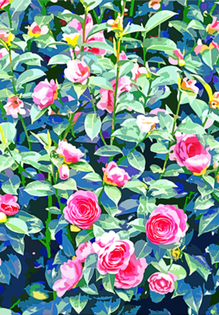 Winter Rose | Botanical Floral Garden