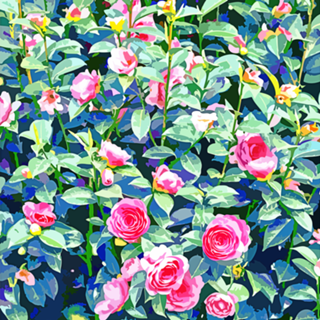 Winter Rose | Botanical Floral Garden