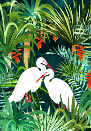 To Me, You're The Perfect Heron, Tropical Jungle
