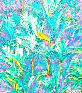 Palm Garden, Tropical Nature Jungle Botanical