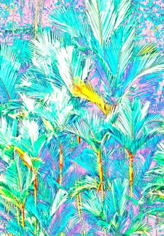 Palm Garden, Tropical Nature Jungle Botanical