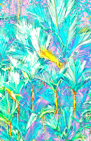 Palm Garden, Tropical Nature Jungle Botanical