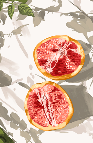 Grapefruit Kinda Zest For Life