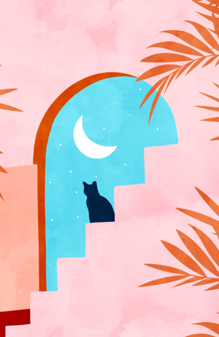 Catrospection