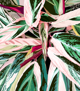 The Grand Scheme of Leaves