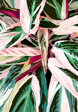 The Grand Scheme of Leaves