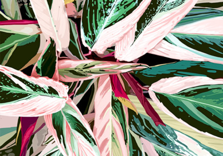 The Grand Scheme of Leaves