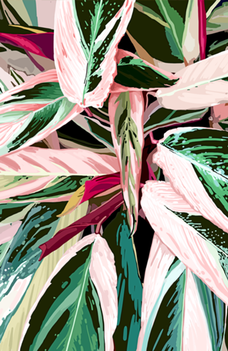 The Grand Scheme of Leaves