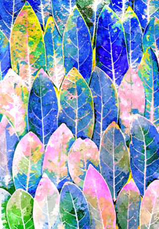 The Grand Scheme of Leaves | Botanical