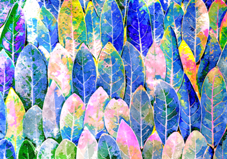 The Grand Scheme of Leaves | Botanical