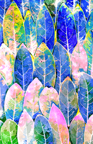 The Grand Scheme of Leaves | Botanical