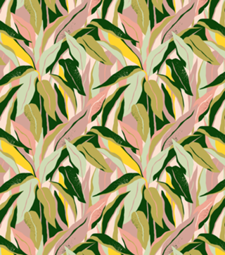 Tropical Matisse Houseplant