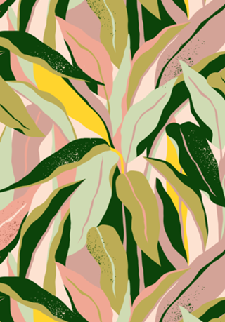 Tropical Matisse Houseplant
