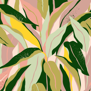 Tropical Matisse Houseplant