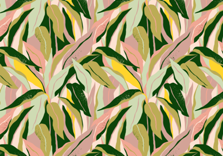 Tropical Matisse Houseplant
