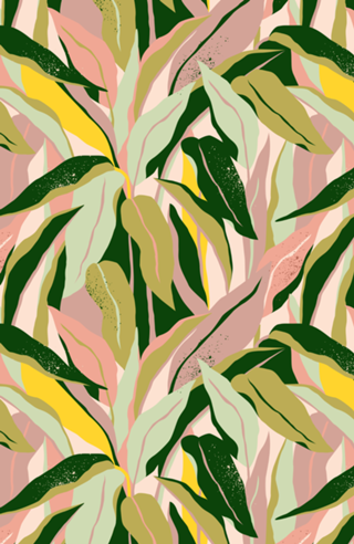 Tropical Matisse Houseplant