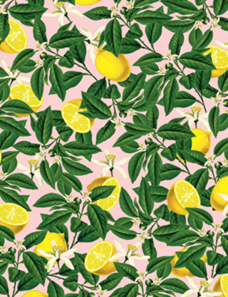 Lemonade