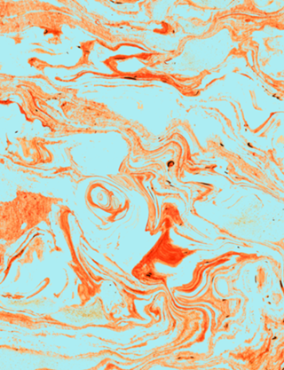 Flamingo and Sea Marble