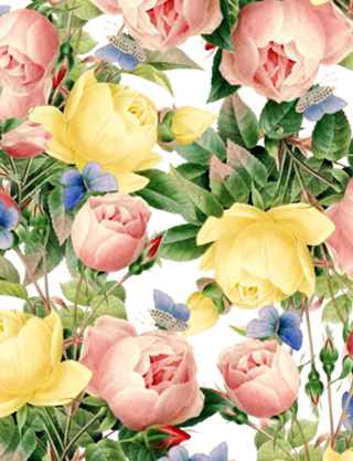 Flora