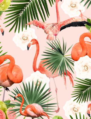 Flamingo Guava