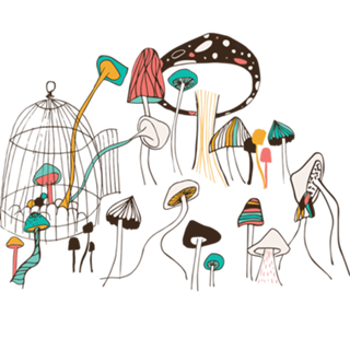 Mushroom Meeting