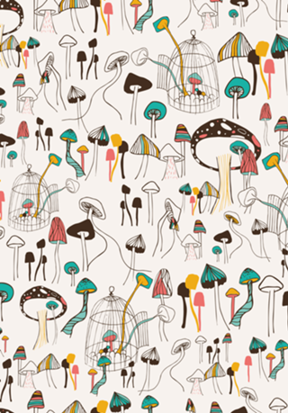 Mushroom Meeting