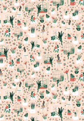 Succulents