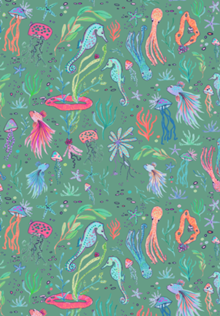 Ocean Animals