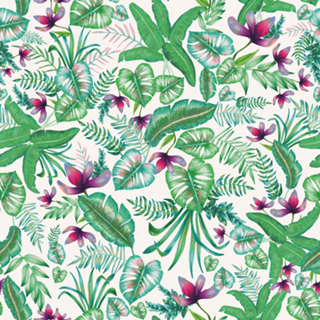 Tropical Breeze