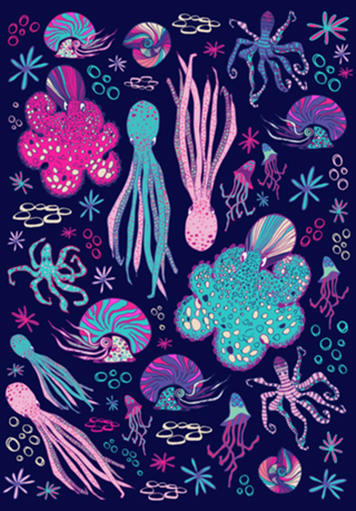 Cephalopods