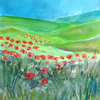 Poppies