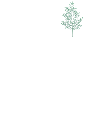 Arruda