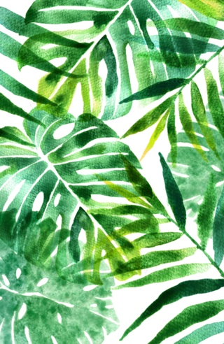 Tropical aquarela