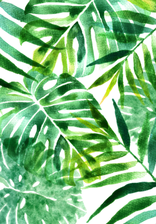 Tropical aquarela
