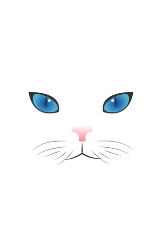 Gato preto