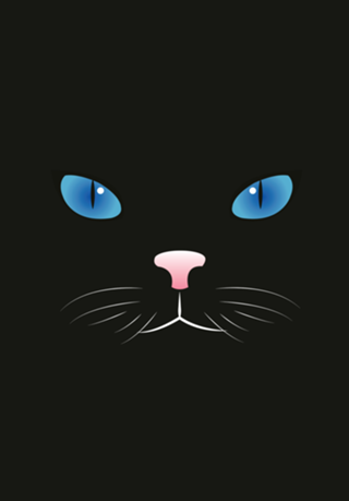 Gato preto
