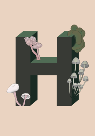 Monograma Floral H
