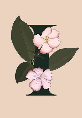 Monograma Floral I