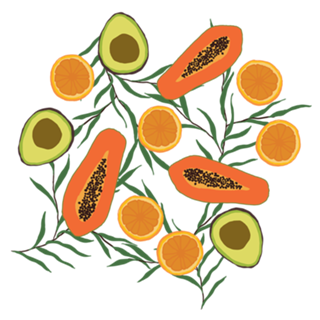 Frutas: mamão, abacate e laranja I