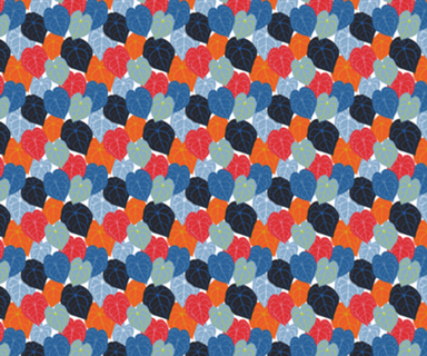 Antúrio cores rainbow 3