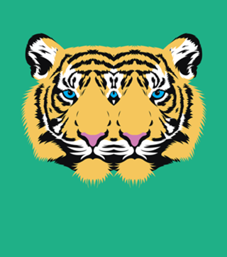 Tiger jungle cat