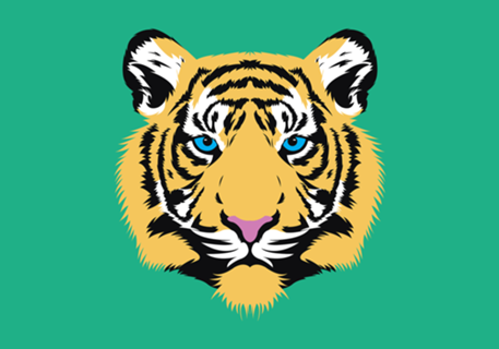 Tiger jungle cat