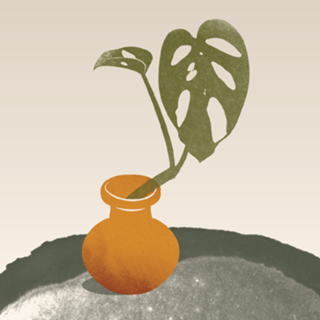 Terra plants 02