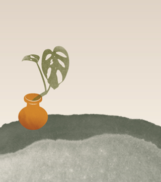 Terra plants 02