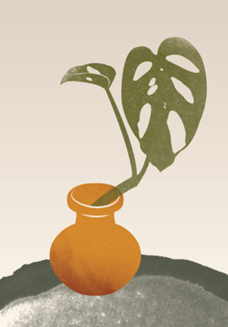 Terra plants 02