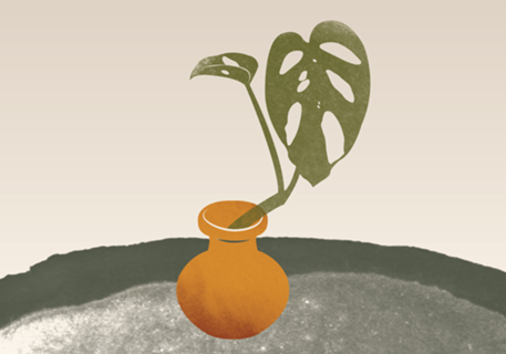 Terra plants 02