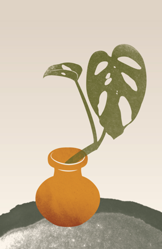 Terra plants 02