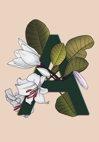 Monograma Floral A