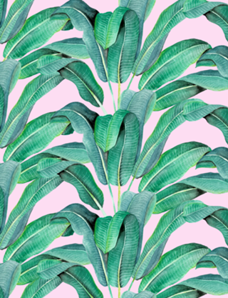 Padrão Tropical IV