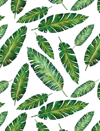 Padrão Tropical V